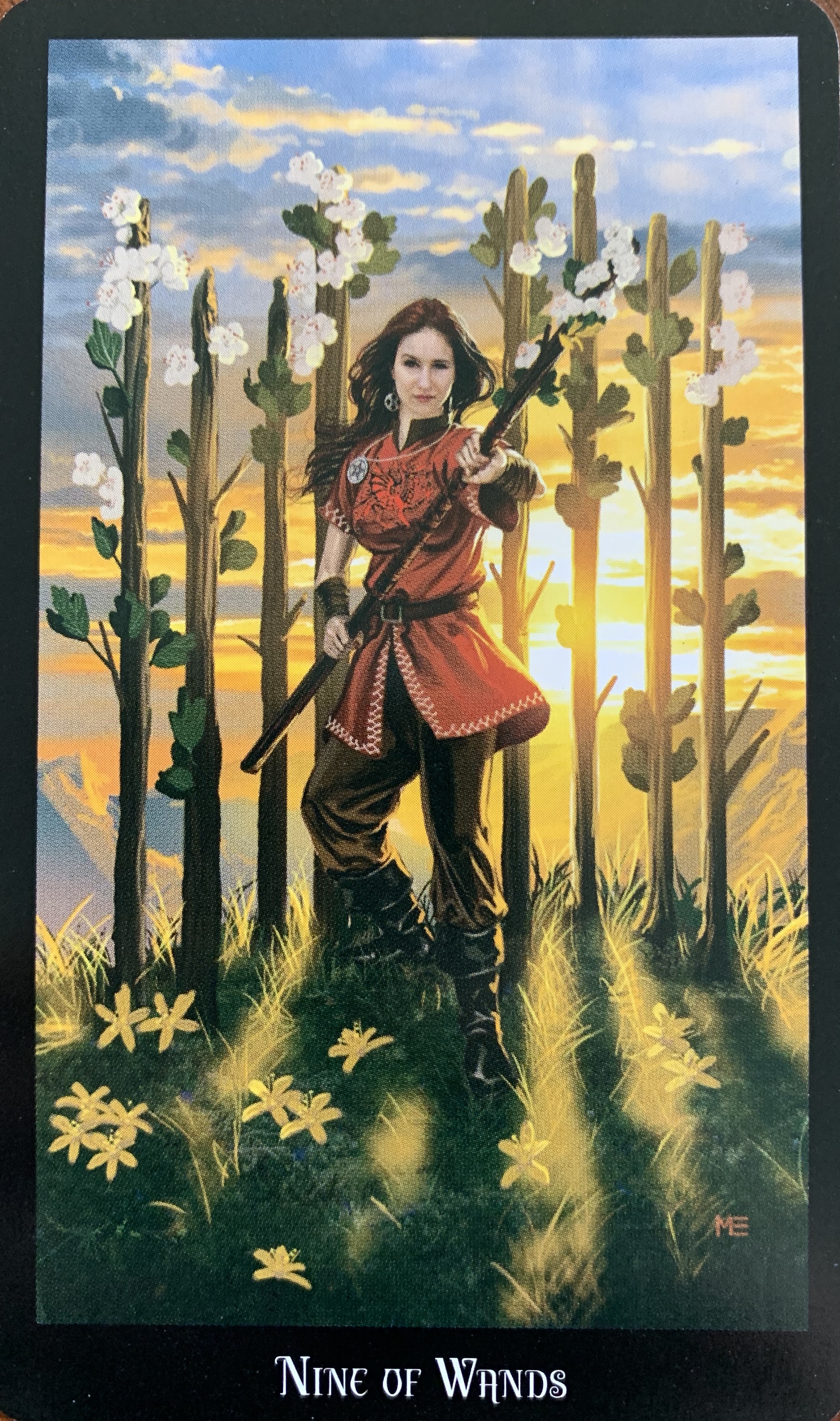 Nine of Wands - Witches Tarot